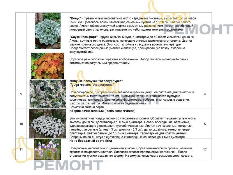Проект благоустройства территории-102